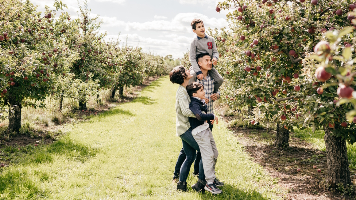 Dad with his son on his shoulders apple picking in Washington state