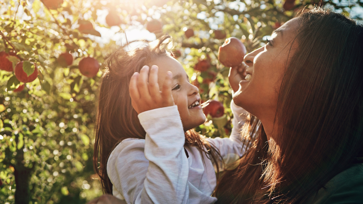 Mom and daughter picking apples in Washington state