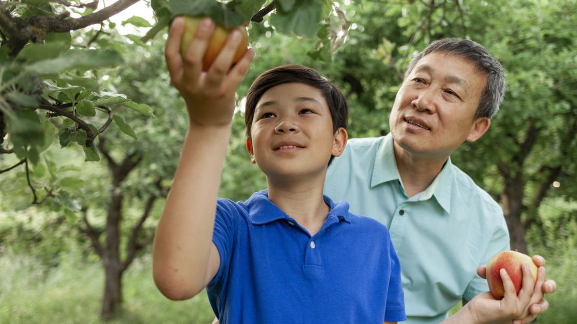 Grandpa and grandson picking applies in Washington