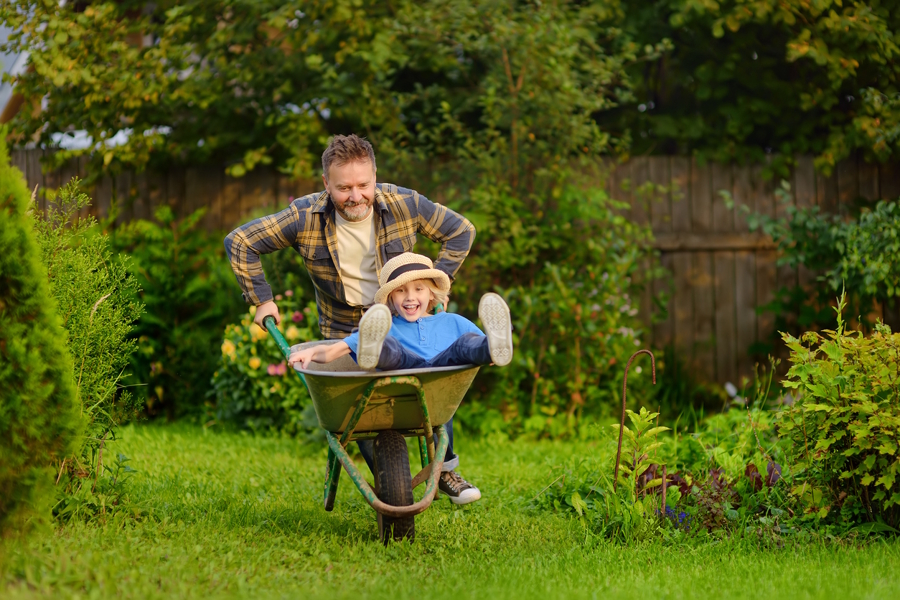 Dad pushing a kid in a wheelbarrow