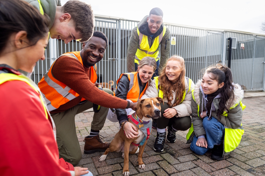 Kids at a volunteer experience with a dog
