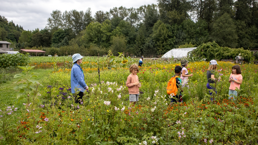 Kids enjoying summer camp at Oxbow