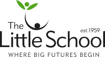 The Little School