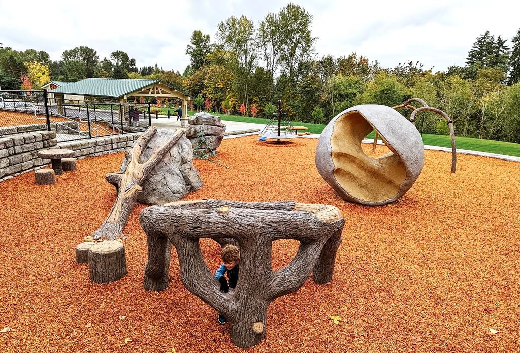 The Incredible New Playground at Bellevue’s Newport Hills Woodlawn Park