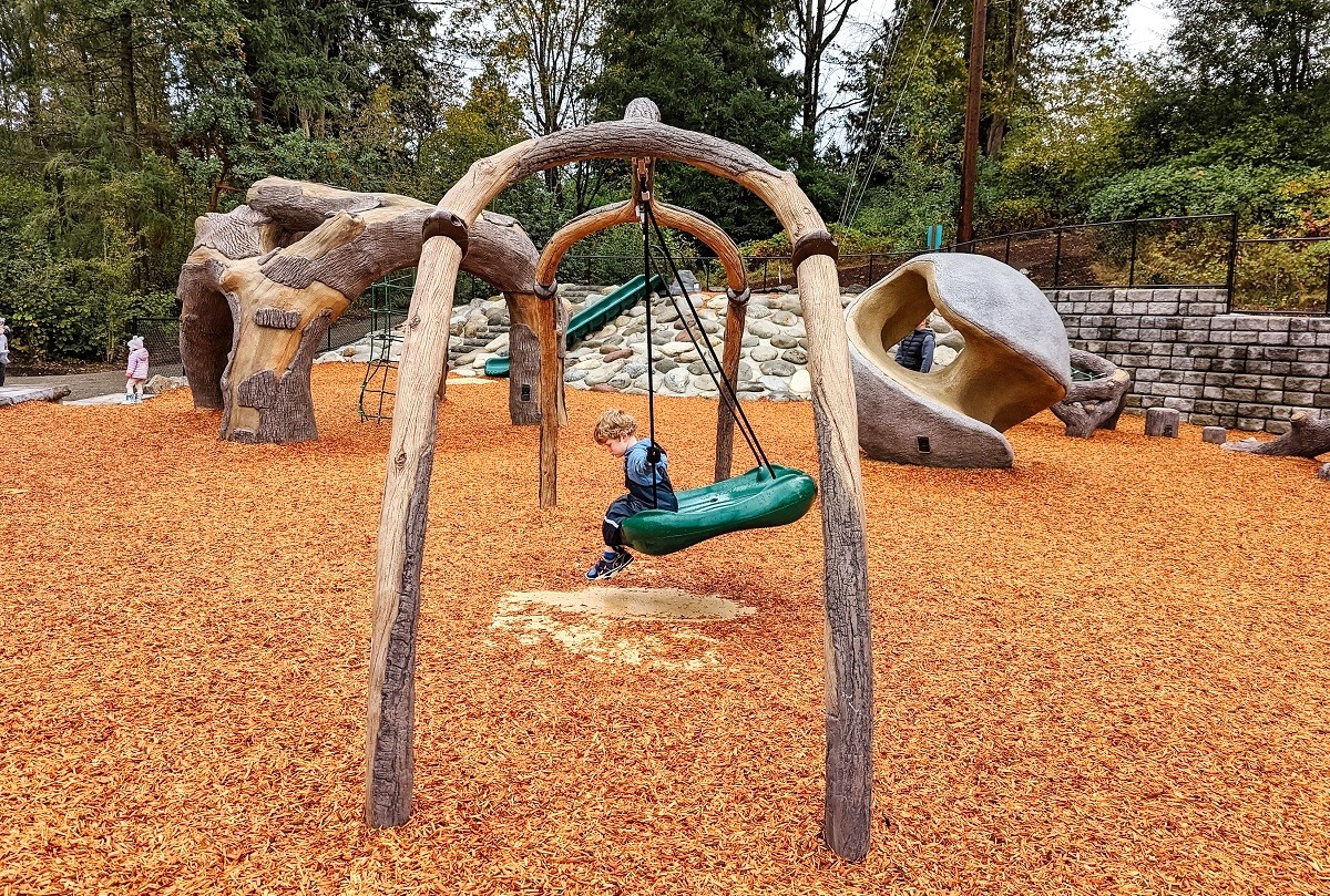 A small boy swings on the basket swing at the new playground at Bellevue’s Newport Hills Woodlawn Park