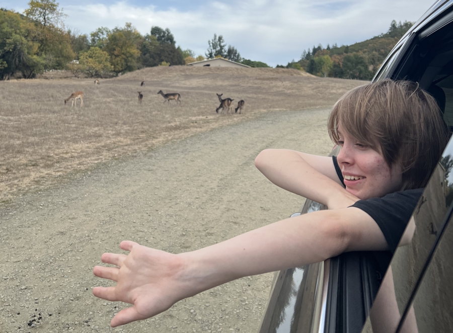 child with their hand out the window of a car