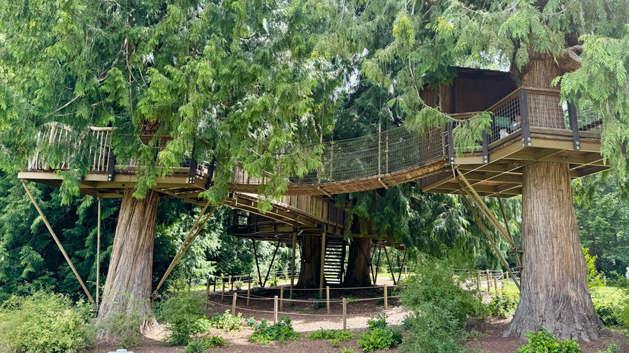 Exterior of the Sammamish tree house, a local tree house for kids to explore with bridges