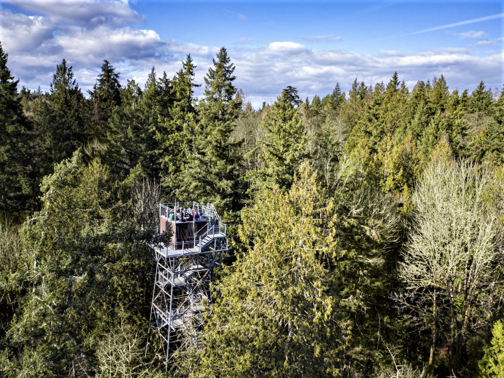 IslandWood's canopy tower seen from the distance. People climb to the top of a fire lookout style tower to see over the top of the tree canopy
