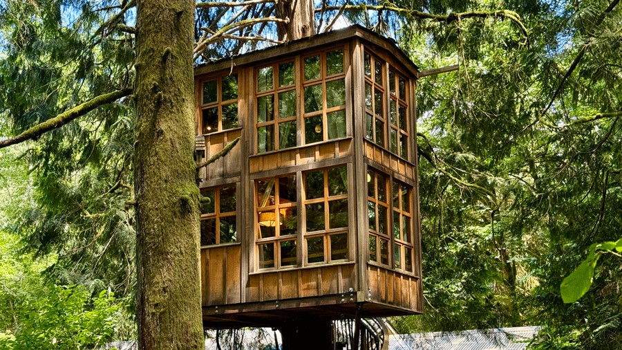 The Trillium tree house rental at Treehouse Point in Fall City has 80 window panes