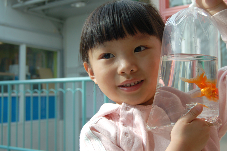 a child holds a live goldfish in a bag of water, which would not be a good party favor