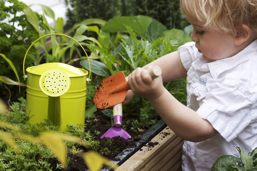 toddler working in the garden