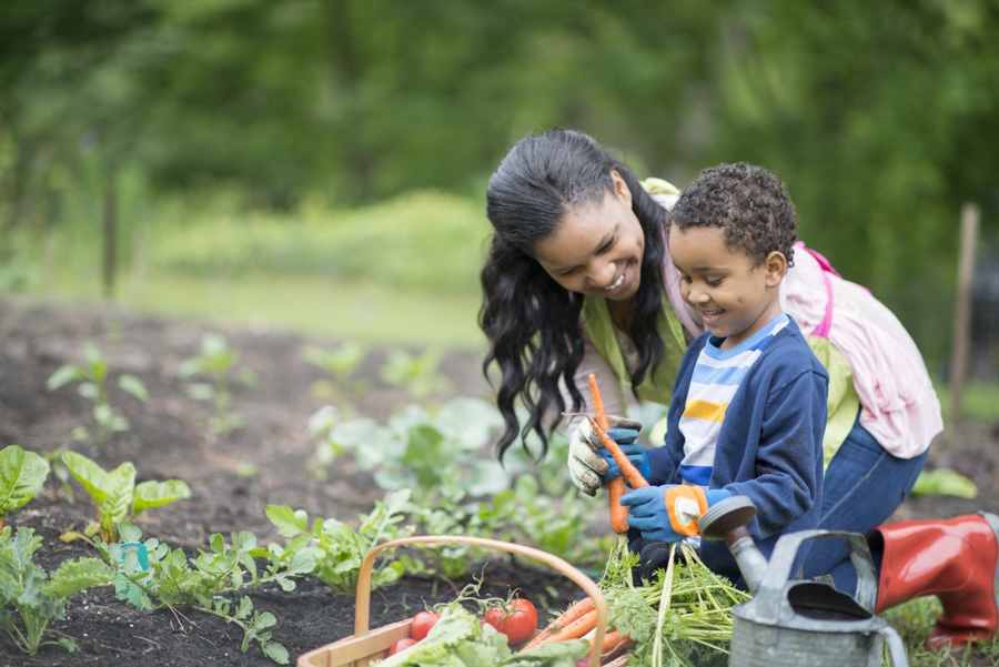 mom and son picking veggies in the garden