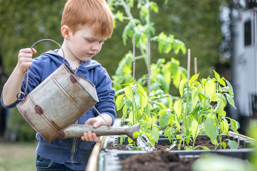 boy watering the garden in the spring