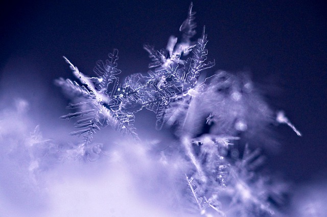 Community Nights at Crossroads: Winter Movie and Snacks