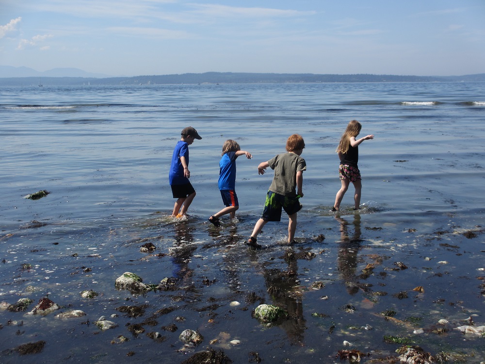 Kids wade in shallow water at Carkeek Park in Seattle during a low tide free and cheap summer adventures for Seattle-area kids and families