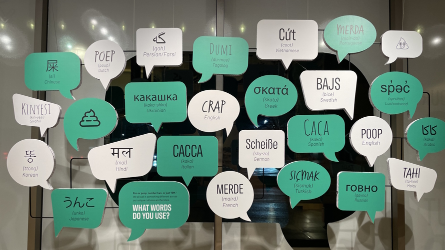 a wall full of the word Poop in many languages