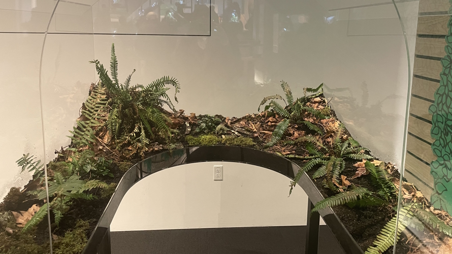 a Loopscapes. Gates Foundation Discovery Center sanitation exhibit