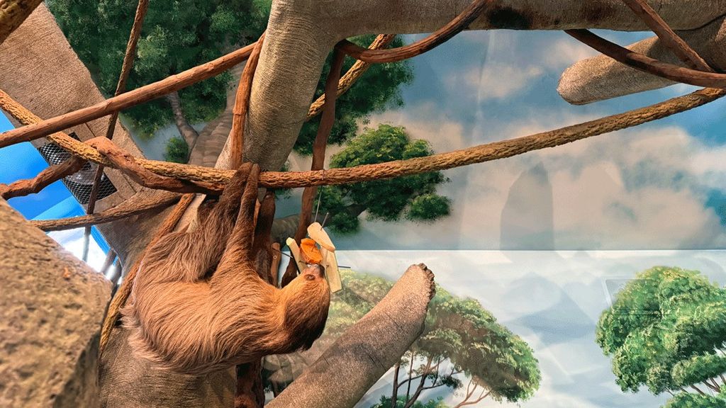 6 Unusual Animal Encounters for Seattle-Area Families