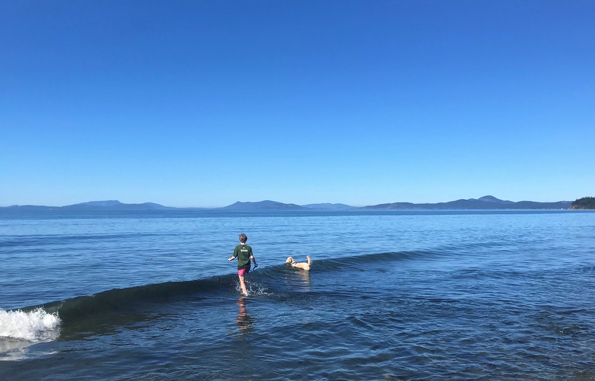 Tween kid and dog wade into the waters at Dugualla Beach on Whidbey Island with blue sky and mainland Skagit County in the background