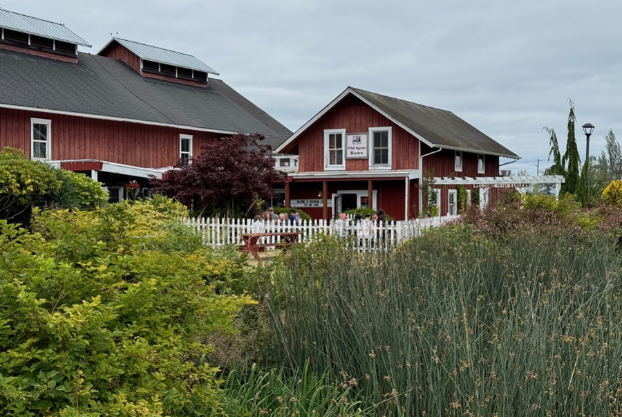 The red barn at Greenbank Farm on Whidbey Island in hard to miss, so are the pies