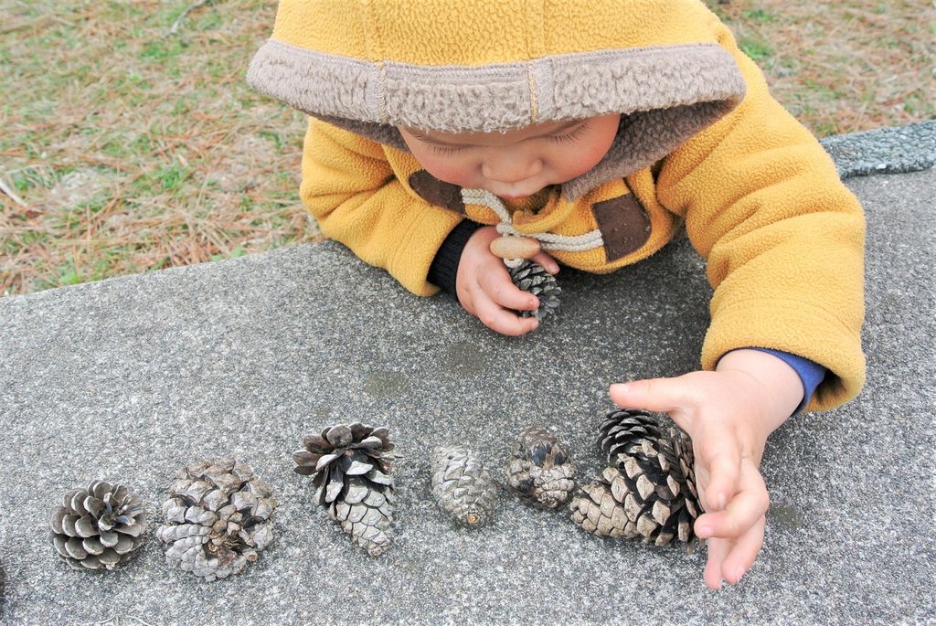 10 Nature Treasures to Find at the Park or Around the Block