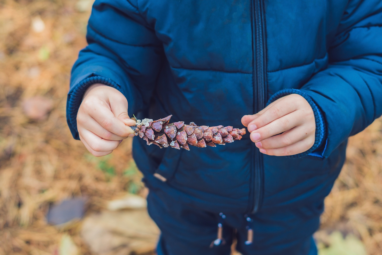 child-holding-pinecone-nature-treasure-hunt-get-outside-to-the-park-around-the-block