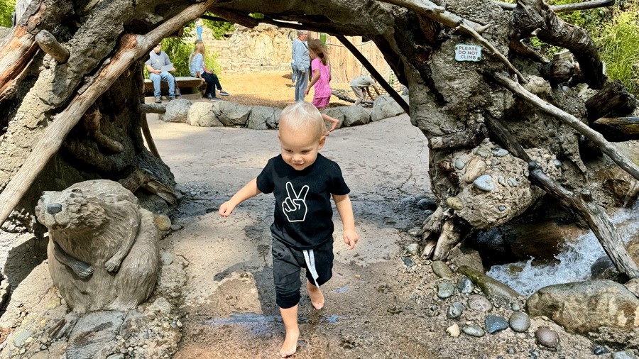 Toddler Perks: These Seattle Spots Are Free for Your Youngest