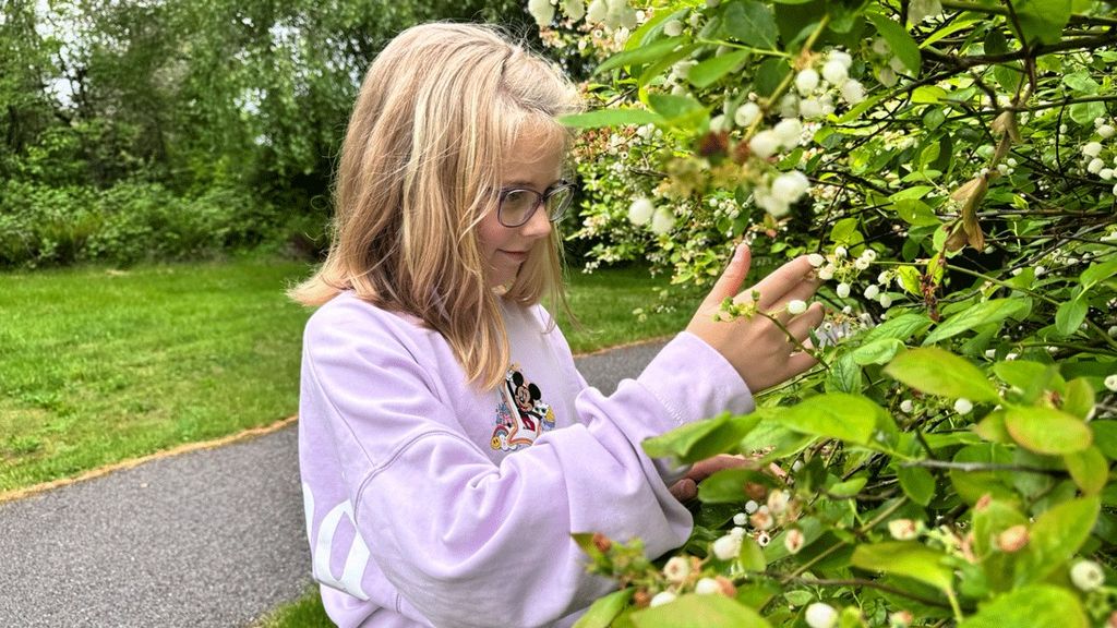 Charlotte’s Blueberry Park Expands Its Food Forest for Local Families