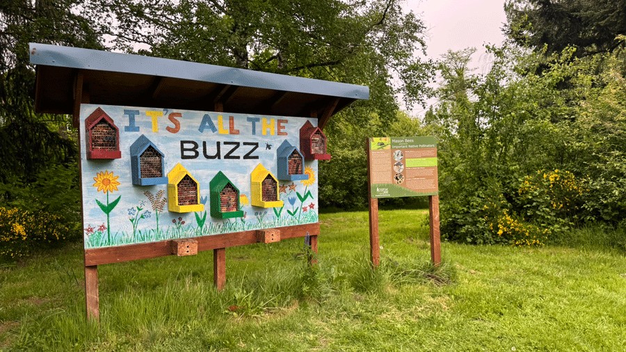 mason bee house and educational display at Charlotte's Blueberry Park expanded food forest in Tacoma
