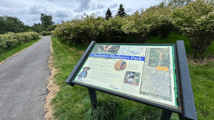 Charlotte's Blueberry Park history detailed on a sign at the park in Tacoma