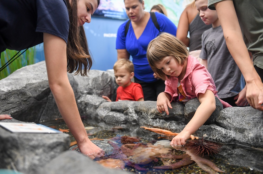 tidal touch zone