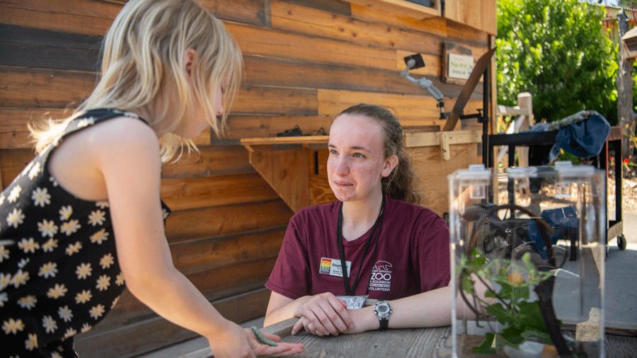 a young girl learns from a volunteer at the Bugs Alive! program at Point Defiance Zoo and Aquarium