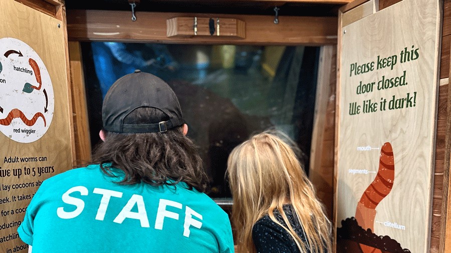 Staff and kids learning about worms at KidsQuest