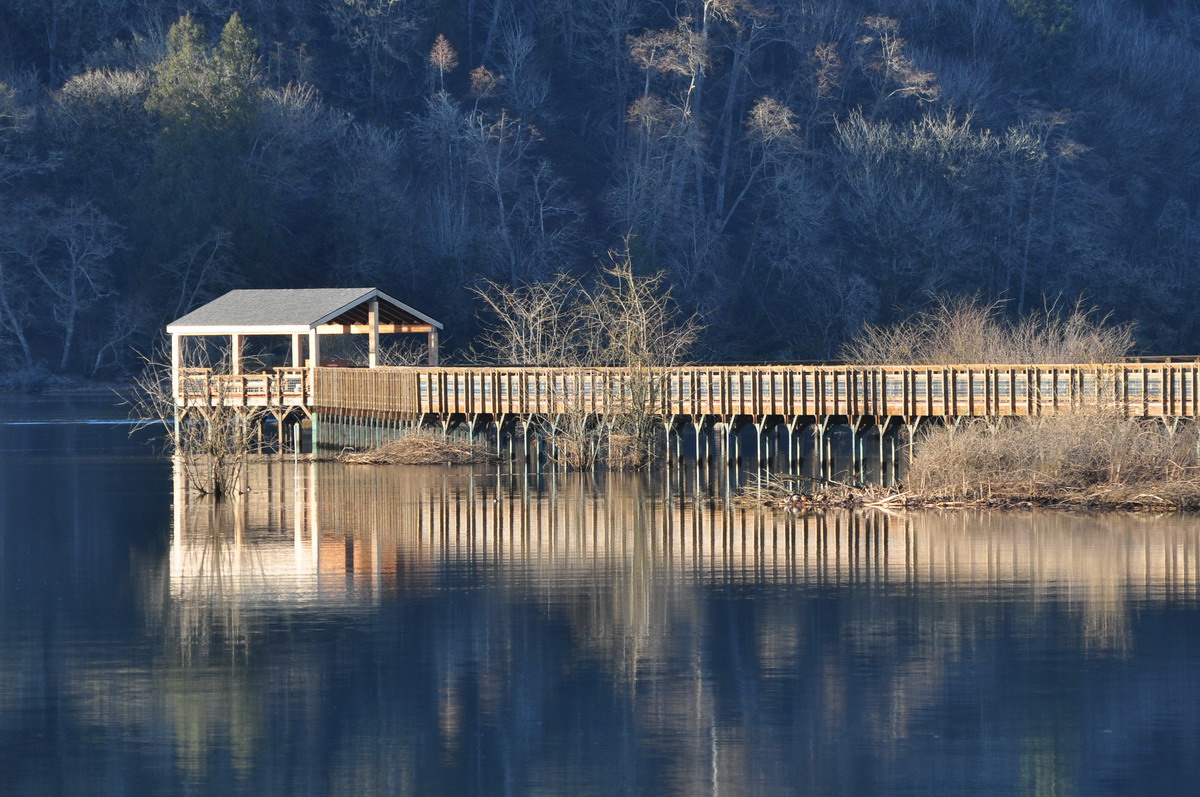 billy frank jr nisqually national wildlife refuge birding spots for seattle tacoma families