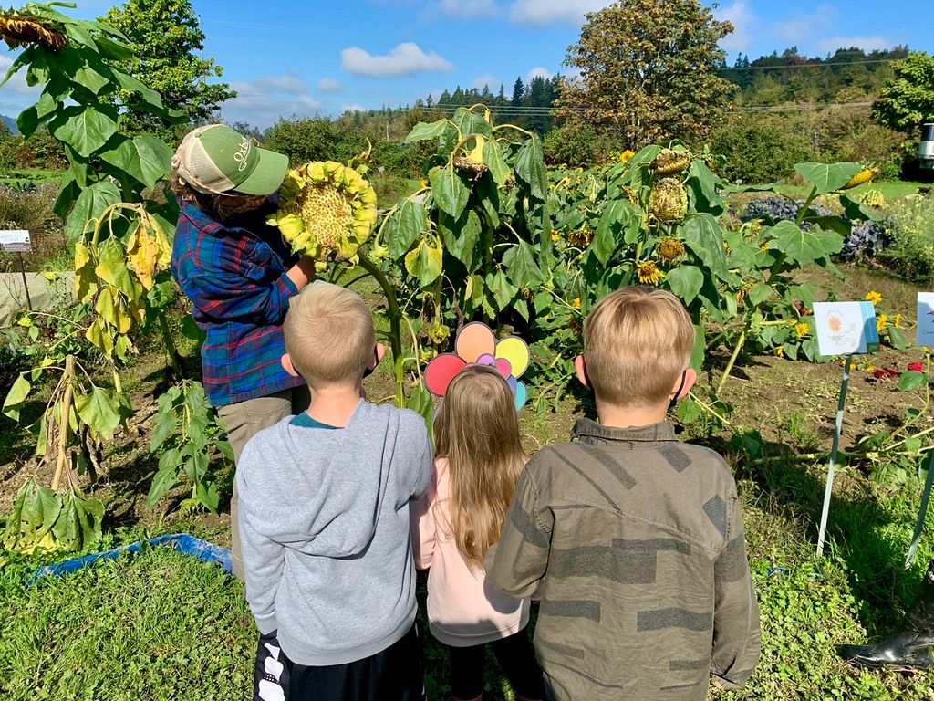 Oxbow Farm Offers Fun and Engaging Private Field Trips for Seattle-Area Families