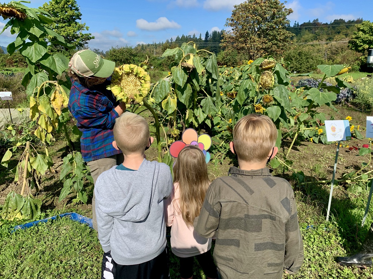 kids learning from farmer at Oxbow Farm in Carnation near Seattle fun family field trip fall 2021