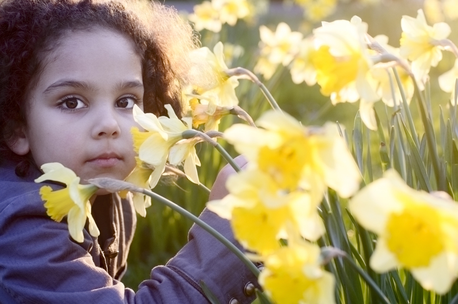 child sitting in field of daffodils 