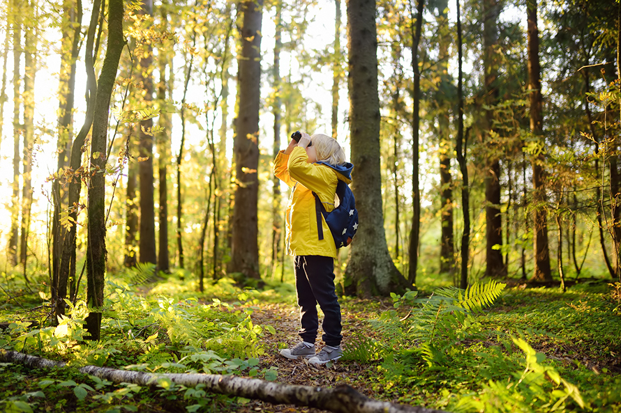 15 Fun Events and Outings for Families in November