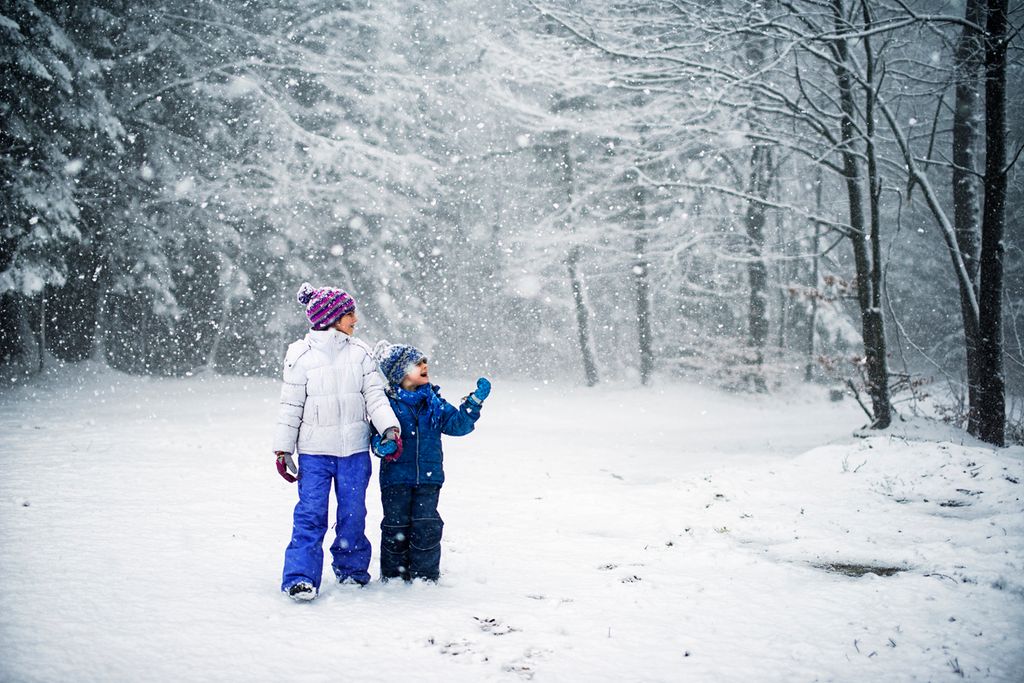 15 Fun Events and Outings for Families in December