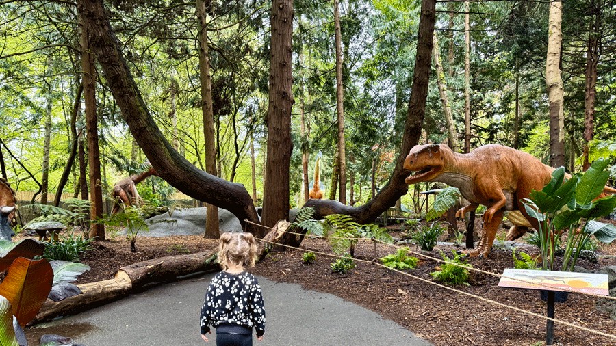 young girl looking at rugops dinosaur at Woodland Park Zoo