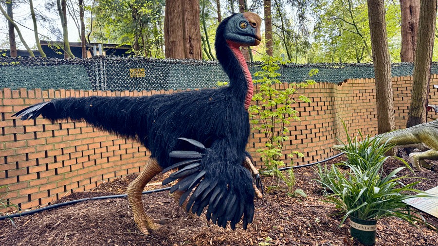 Citipati dinosaur at the Woodland Park Zoo Dinosaur Discovery exhibit