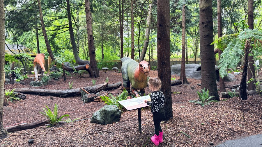 child reading educational sign at a dinosaur exhibit in seattle
