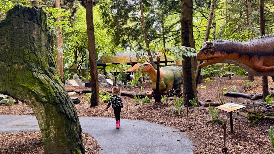 kid walking path of dinosaurs at Woodland Park Zoo