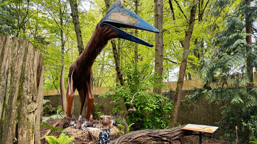 kid looking at giant dinosaur in Seattle at a new exhibit