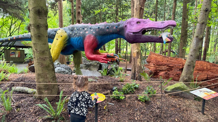 custom baryonx dinosaur with rainbow colors holding a fish at woodland park zoo