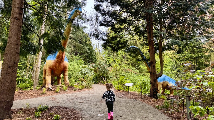 girl walking on a path with two Brachiosaurus dinosaurs towering over her at Woodland Park Zoo