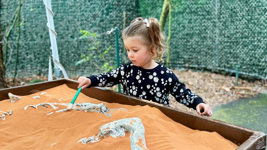 young girl at the fossil digging station with sand, fossils and brush at Dinosaur Discovery