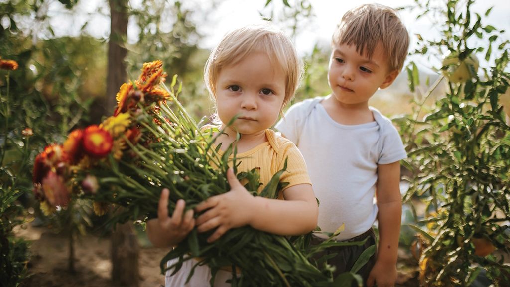 Seattle Flower Farms for Summer Blooms