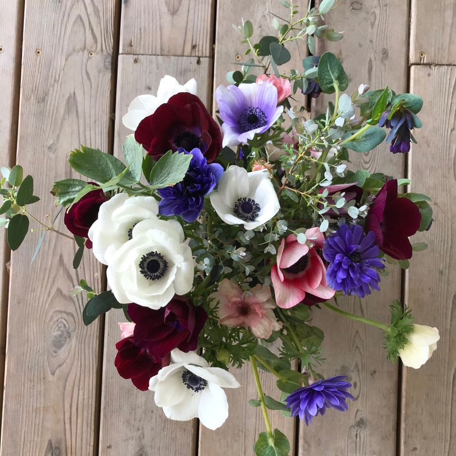 Photos courtesy of Flower Farmer Girls flower farms seattle