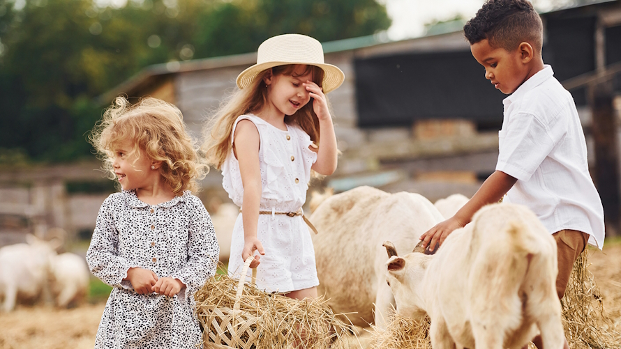 Three children petting animals at a farm